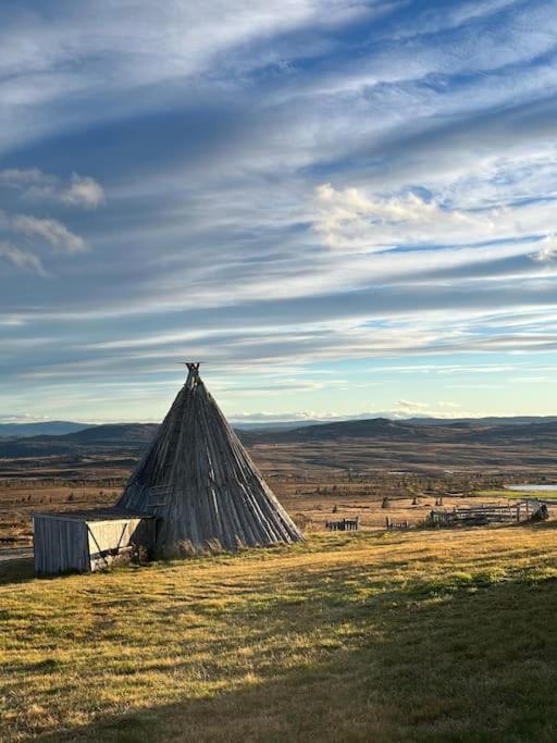 Delikat hytte omgitt av Hallingdals vakre fjell