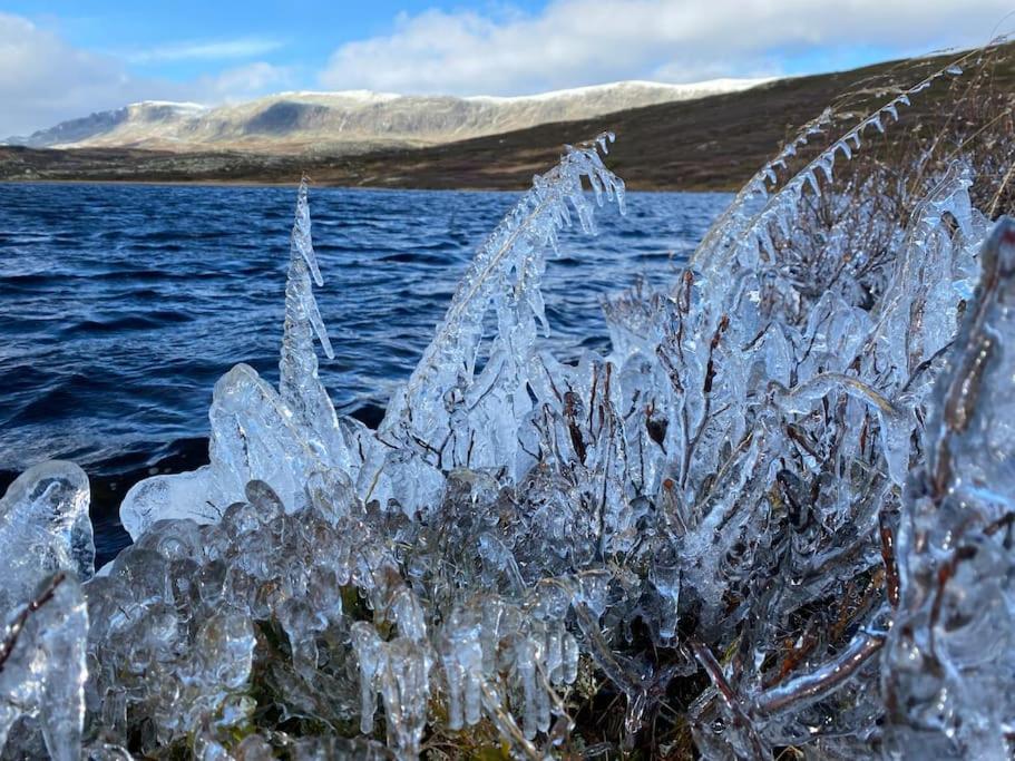 Delikat hytte omgitt av Hallingdals vakre fjell