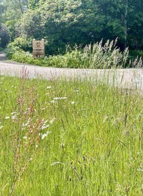 Logo/Certificate/Sign