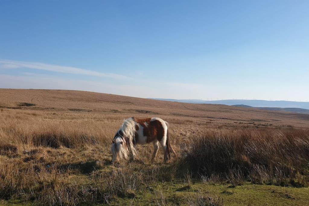 Bethel Nook, a cosy stay in the Welsh Valleys