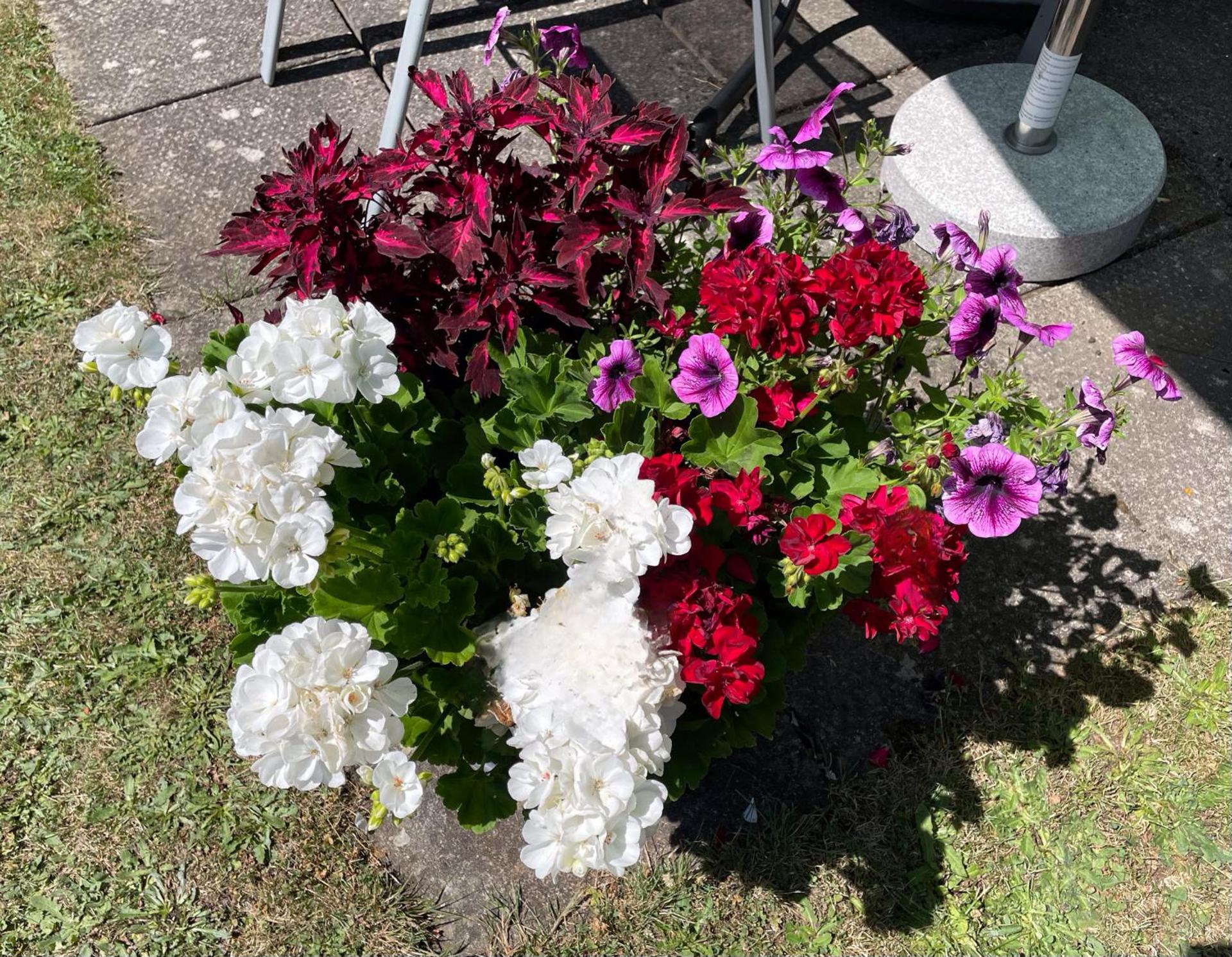 Ferienwohnung Beyer Friedrichroda