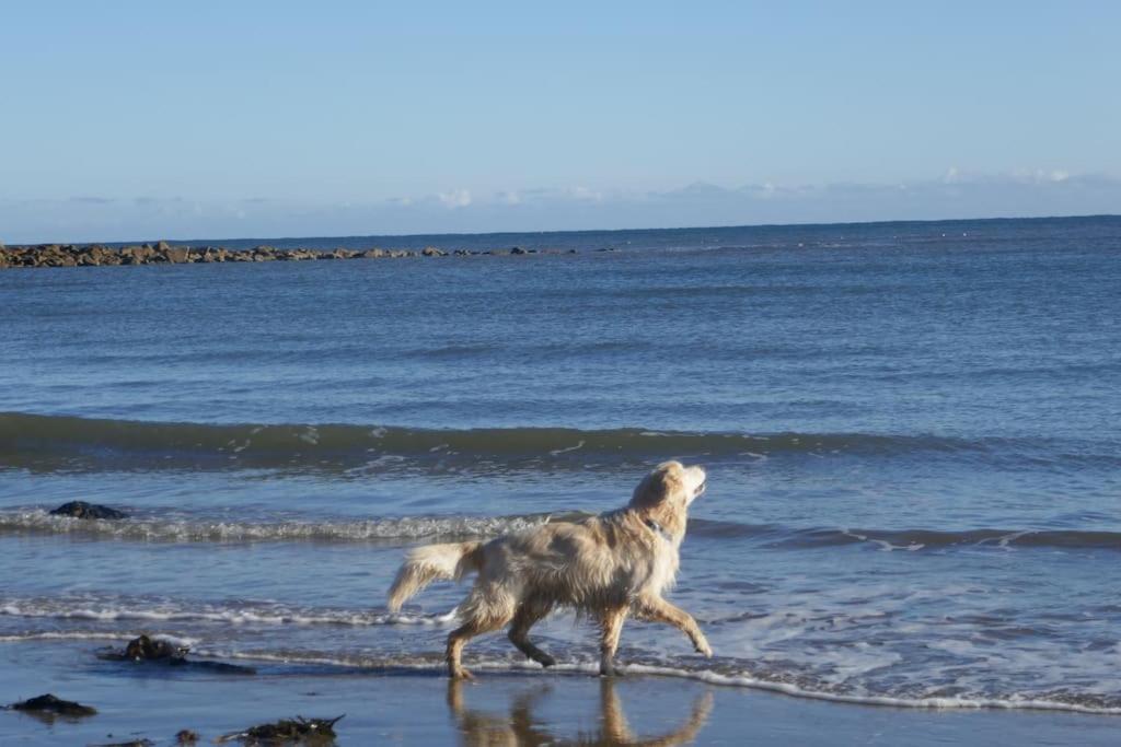 Blacksmith’s Barn - Cosy, Chilled & Dog Friendly.