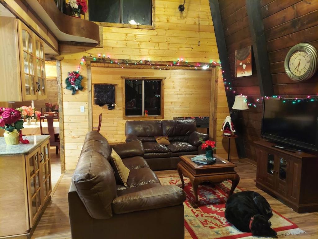 Communal lounge/ TV room