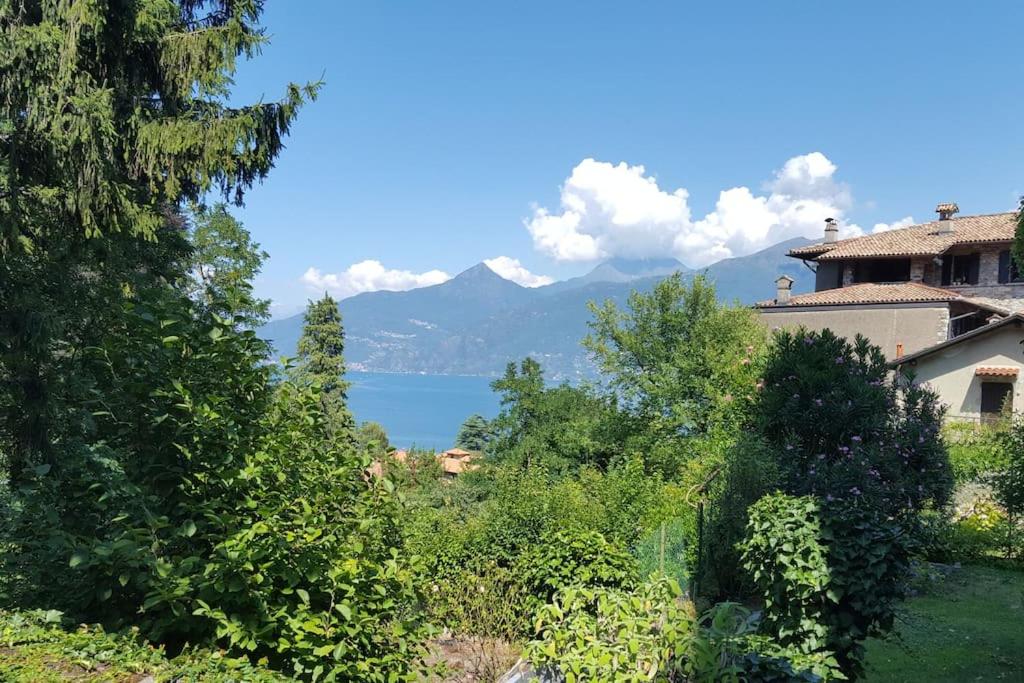 The Ivy House in the Castle