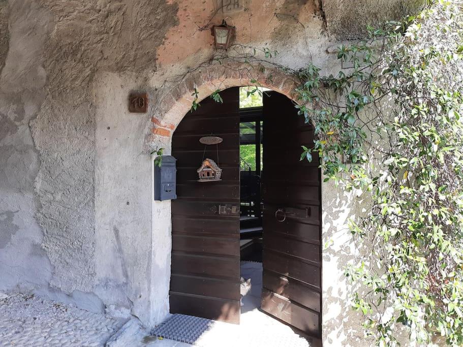 The Ivy House in the Castle