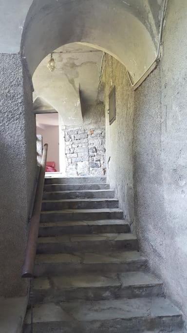 The Ivy House in the Castle