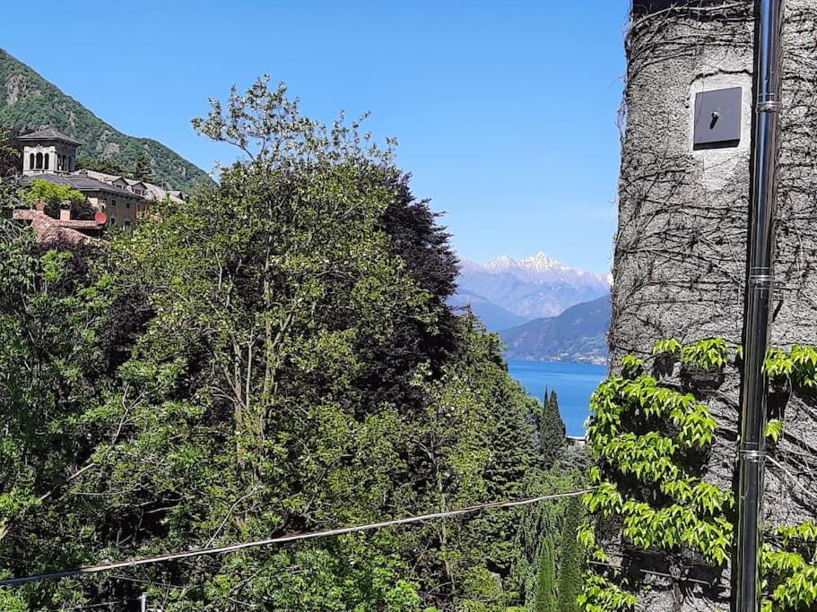 The Ivy House in the Castle