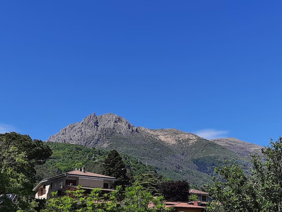 The Ivy House in the Castle