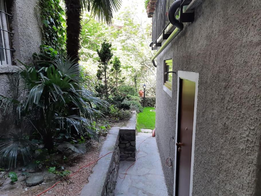 The Ivy House in the Castle