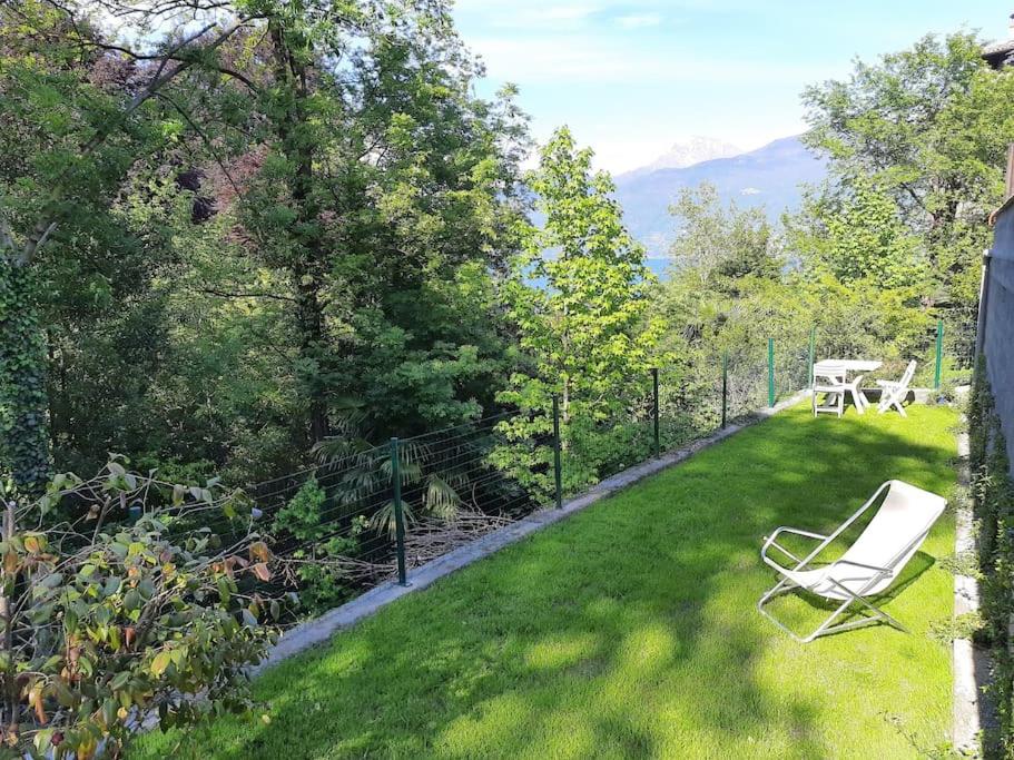 The Ivy House in the Castle