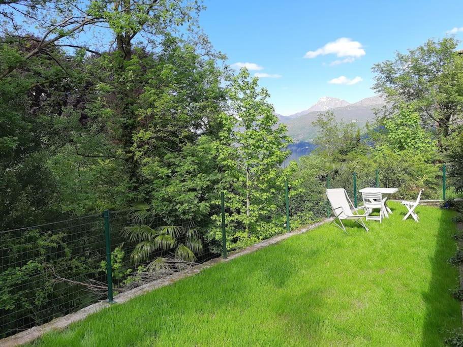 The Ivy House in the Castle