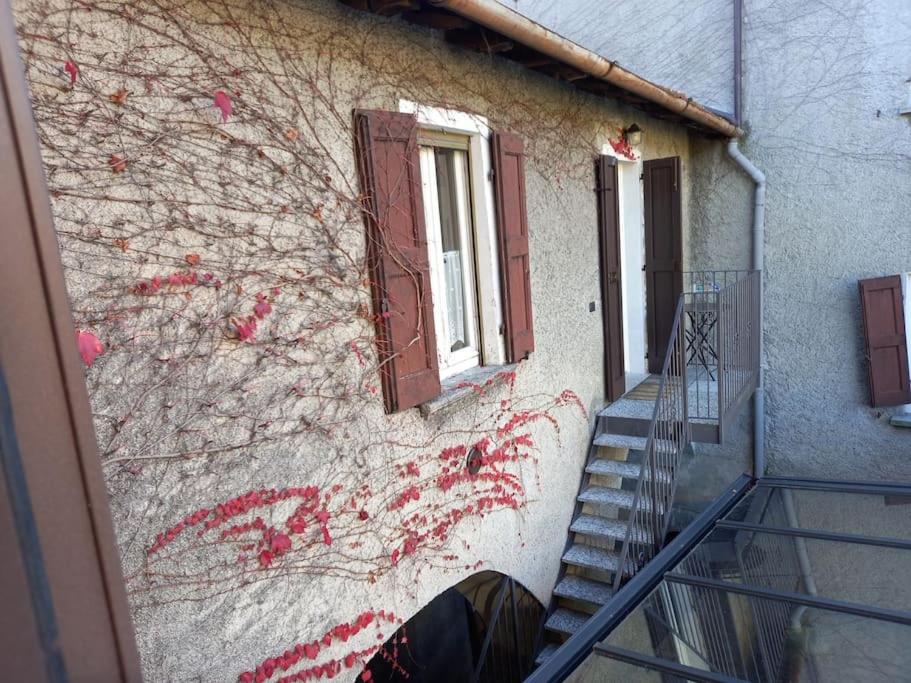 The Ivy House in the Castle