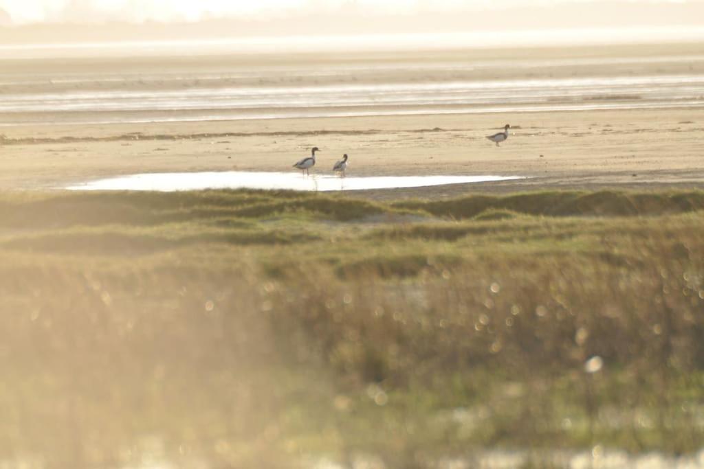 Le macareux, maison de pêcheur.