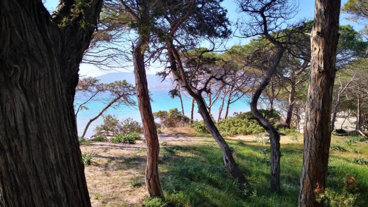 Flowered House with garden