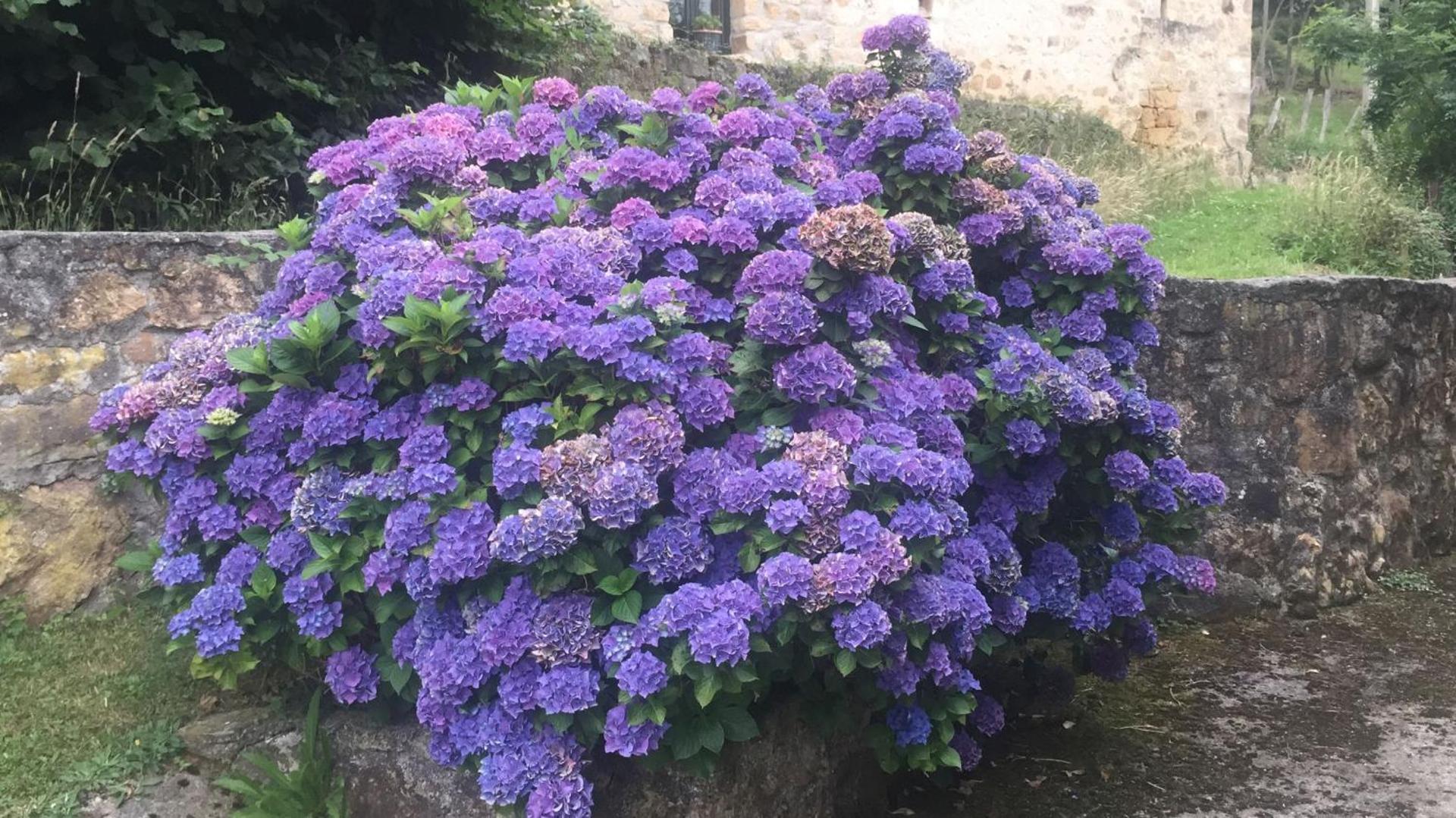 Casa vacacional Valles Pasiegos