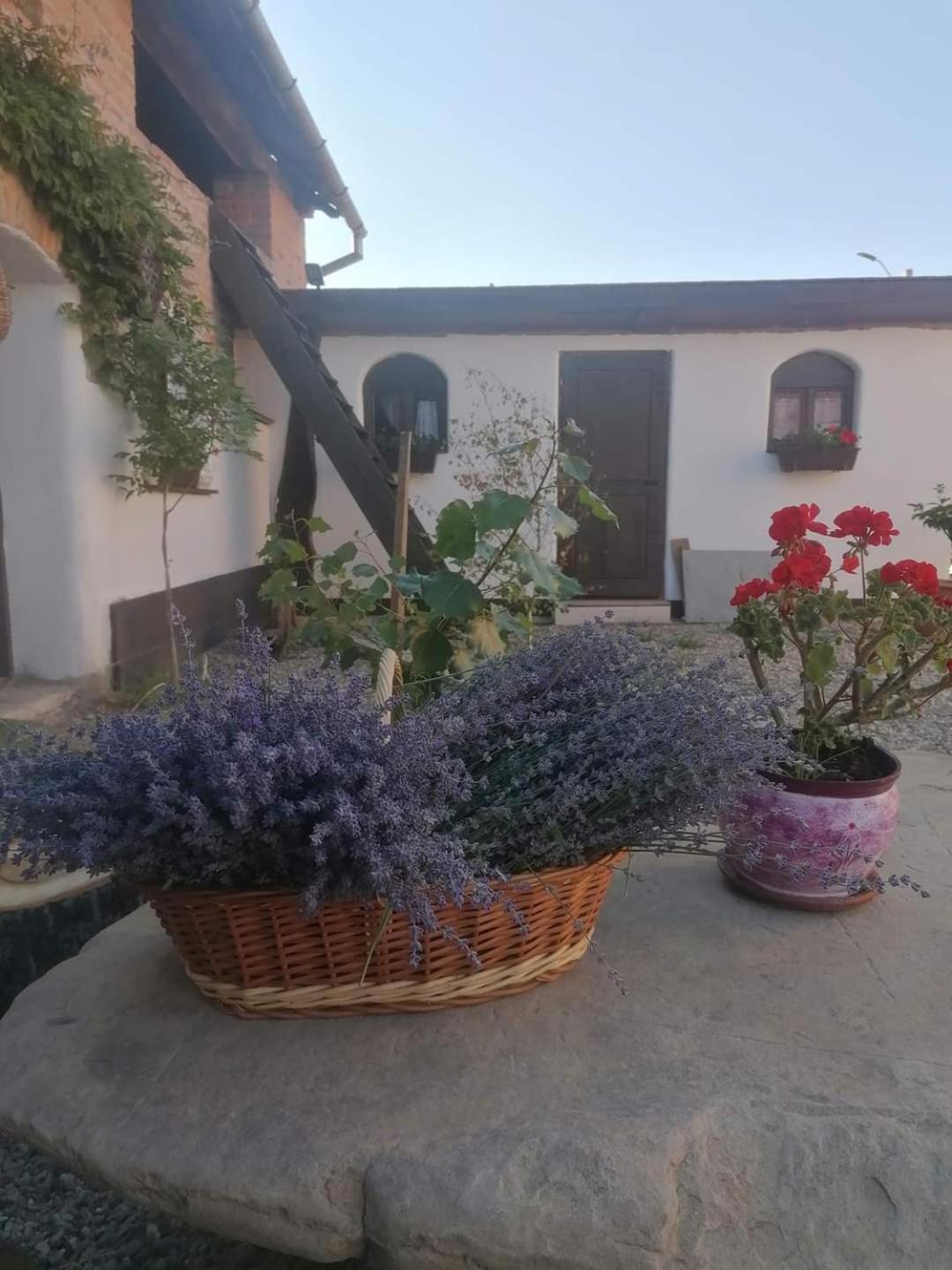 Inner courtyard view
