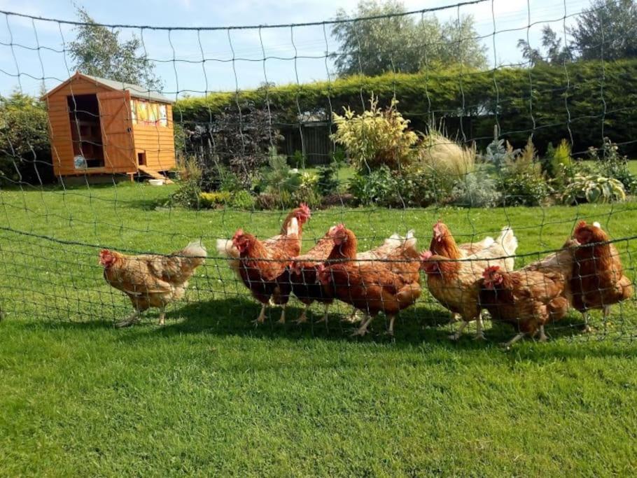 Coastal Garden Lodge