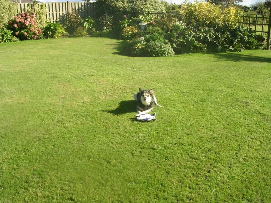 Coastal Garden Lodge