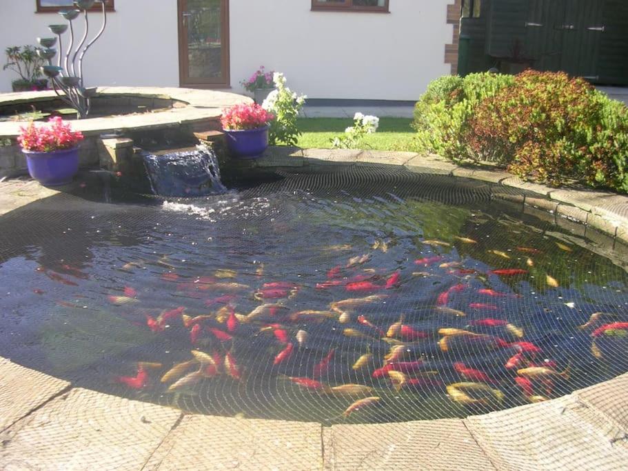 Coastal Garden Lodge