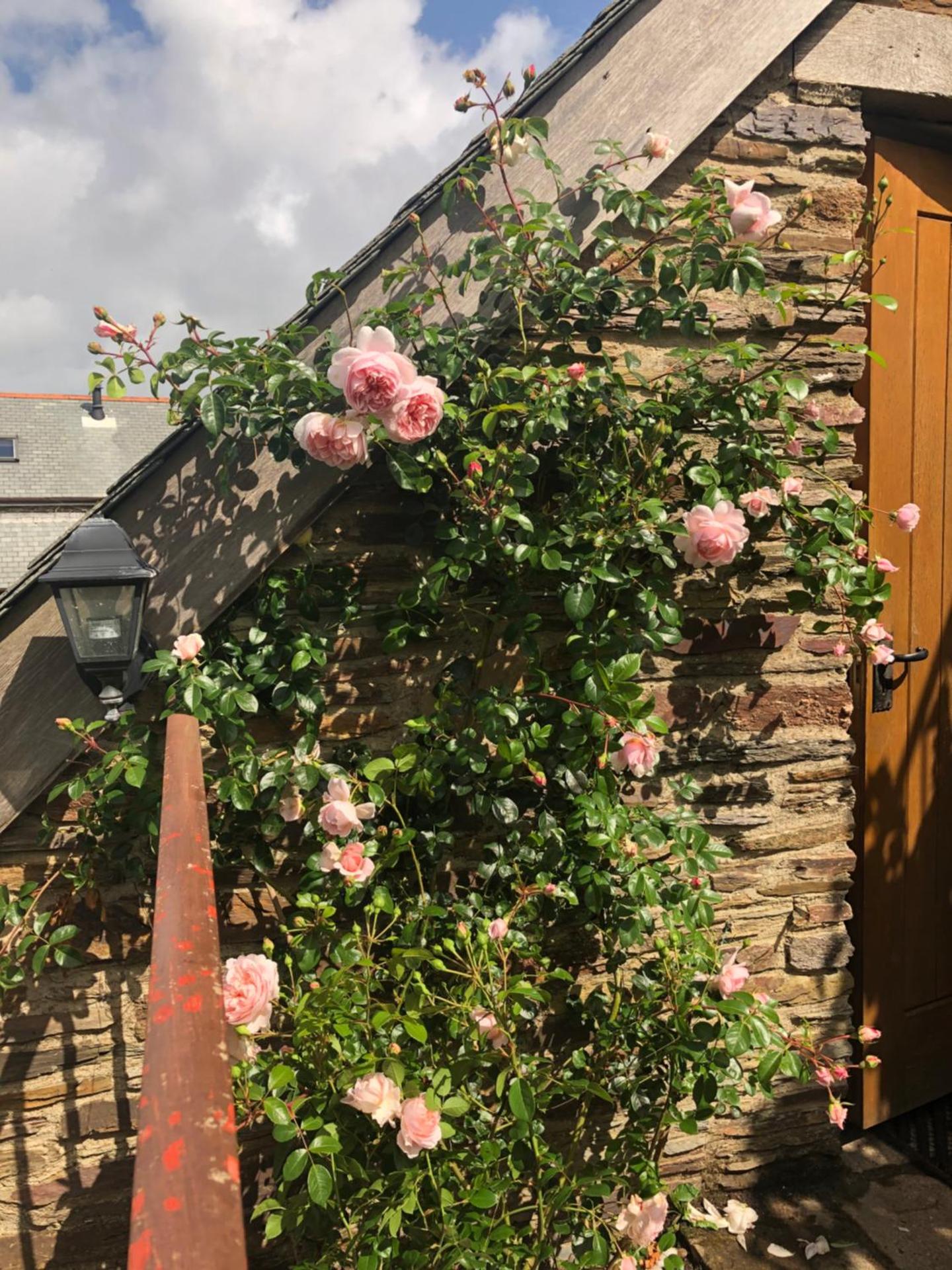 Higher Greenway Annexe