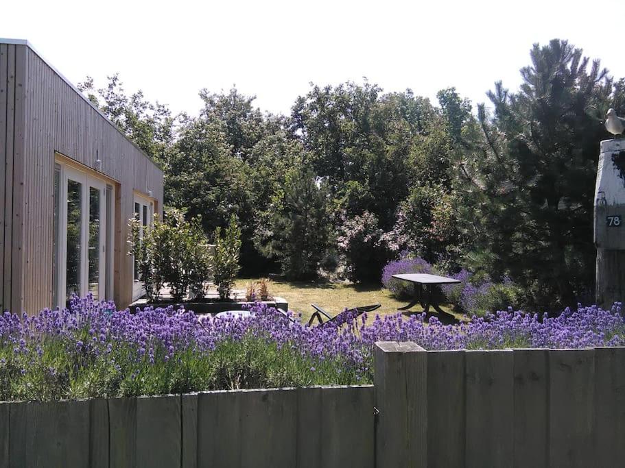 Bas, strandhuisje op 900 meter van zee & strand!