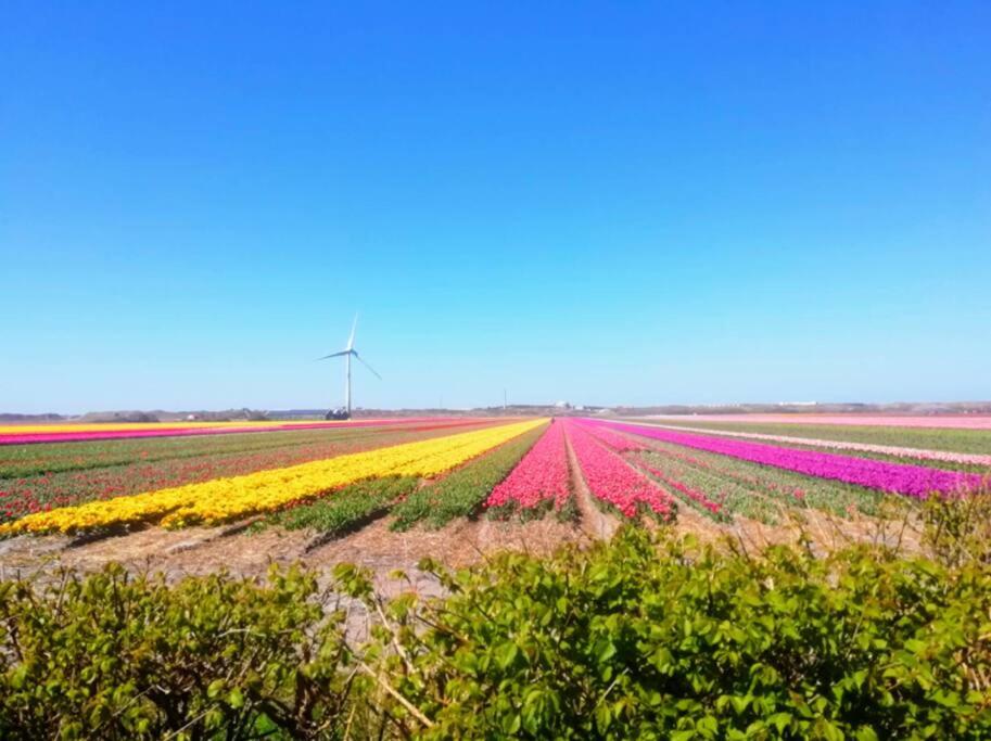 Bas, strandhuisje op 900 meter van zee & strand!