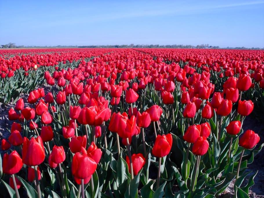 Bas, strandhuisje op 900 meter van zee & strand!