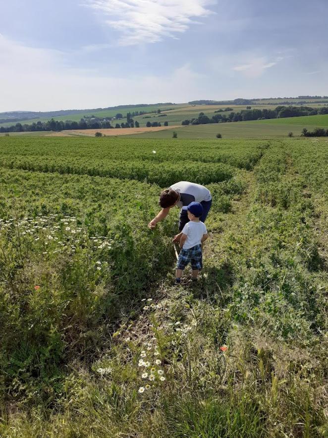 Ferienbauernhof Neumühle