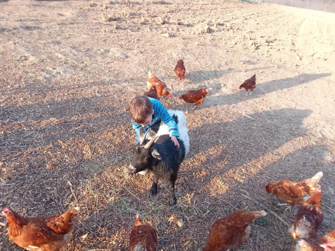 Ferienbauernhof Neumühle