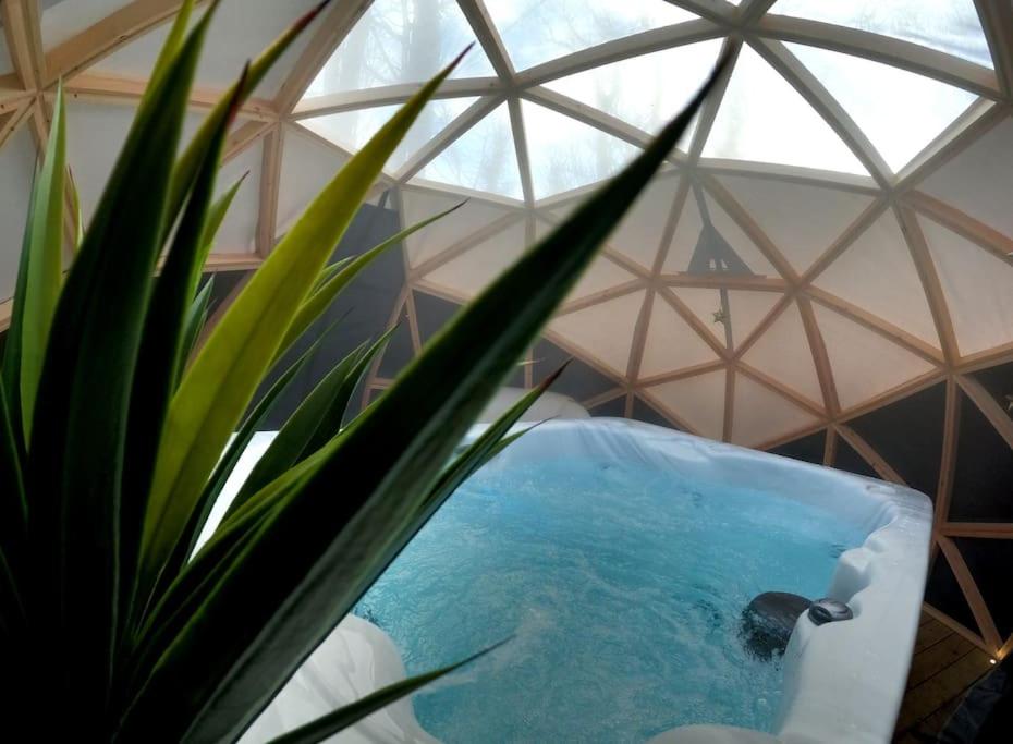 Romance - Stargazing - Hot tub & sauna!