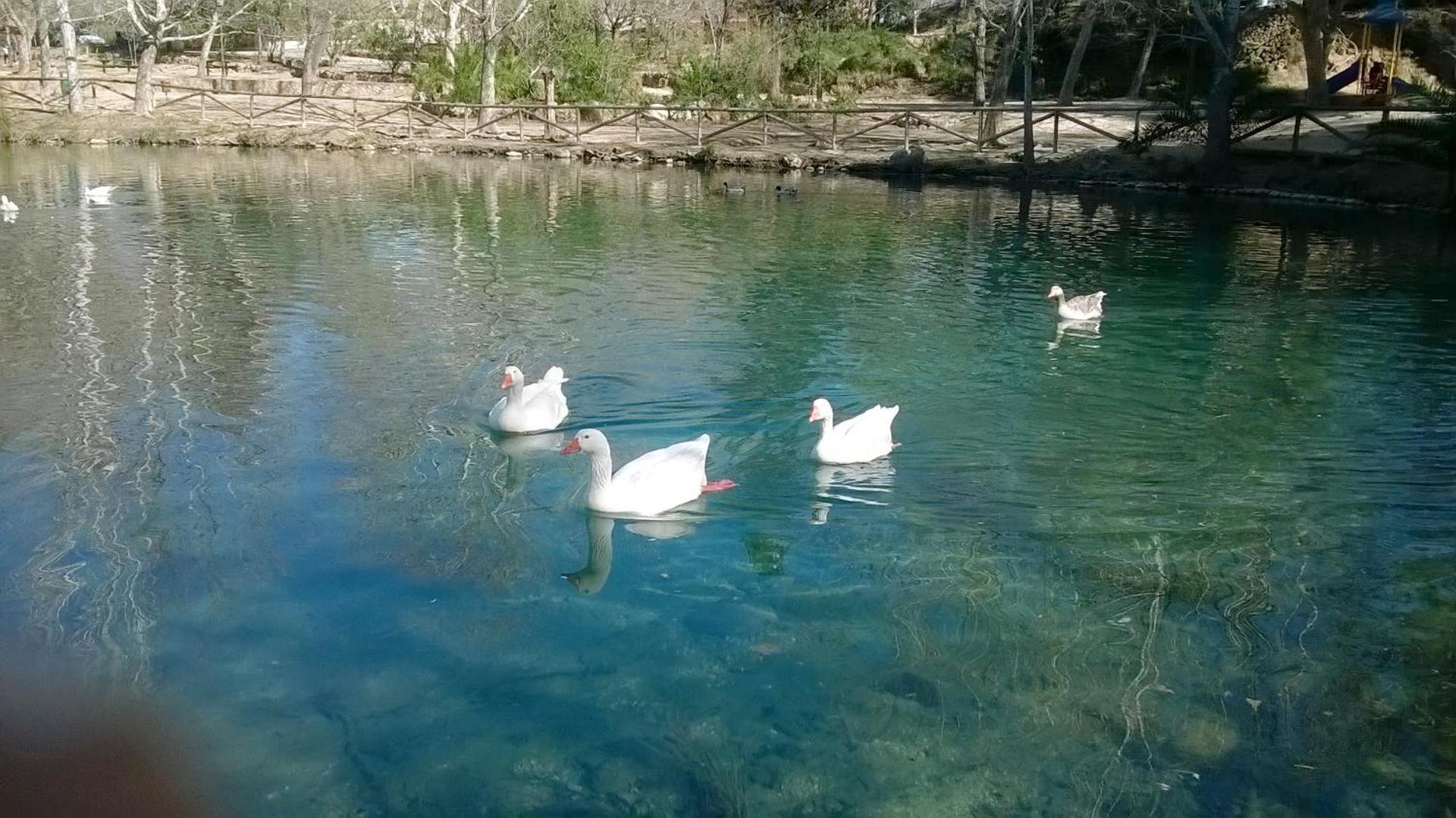 LA CASA AZUL de Anna