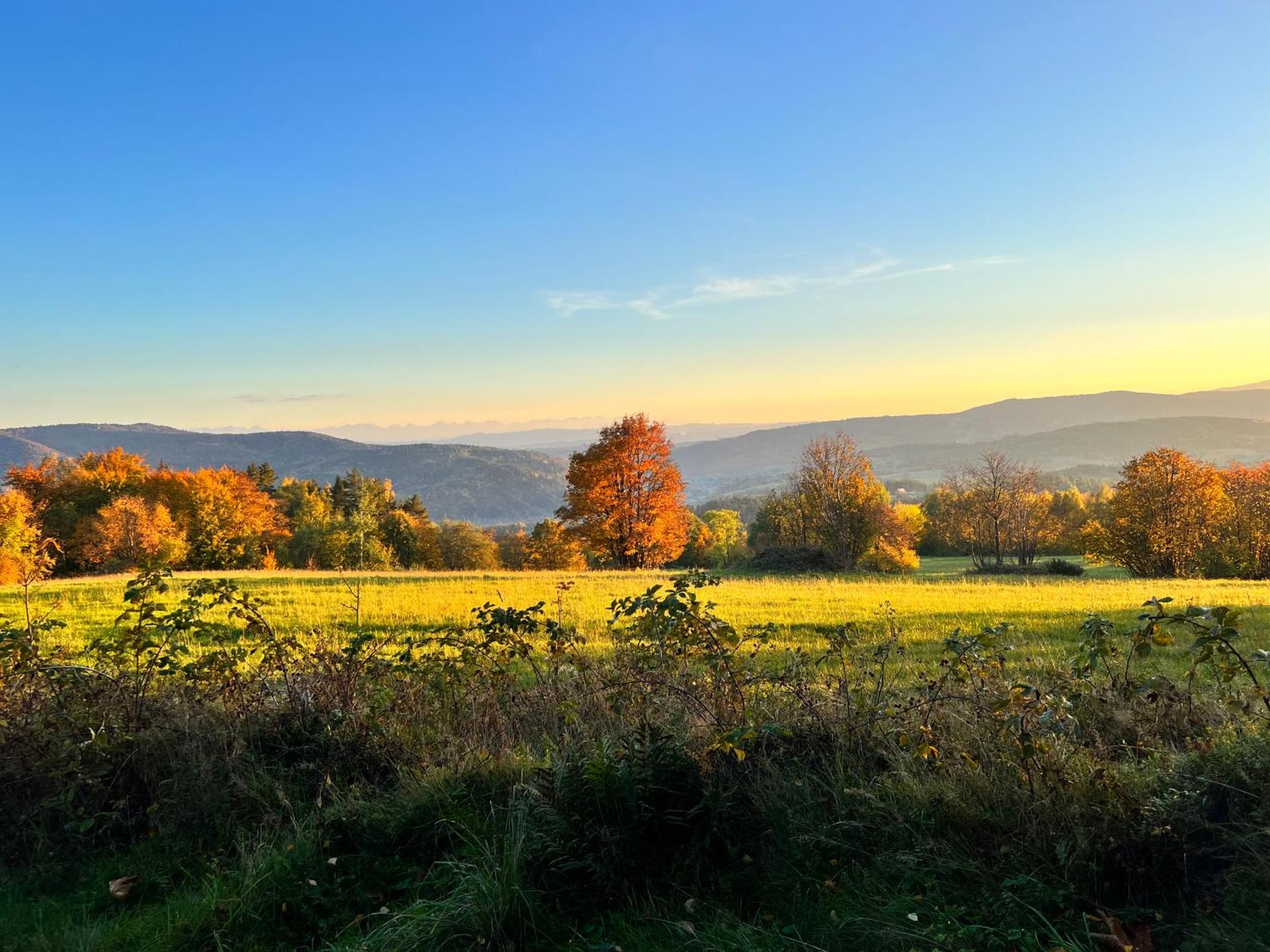 Pokoje gościnne 28 w skosie