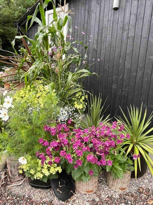 Orres Guesthouse Stenhamra, Ekerö