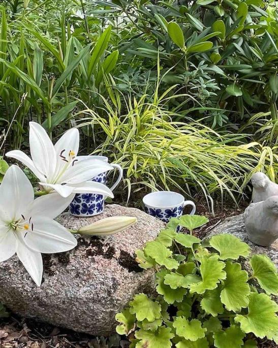 Orres Guesthouse Stenhamra, Ekerö