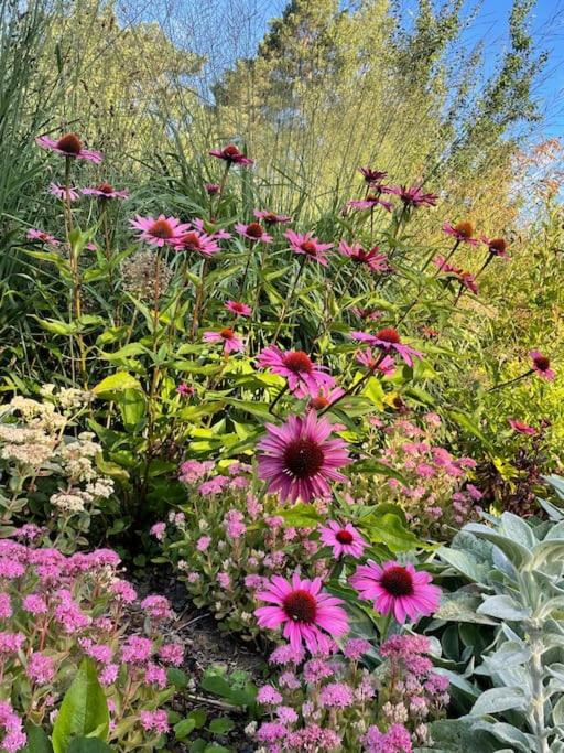 Orres Guesthouse Stenhamra, Ekerö