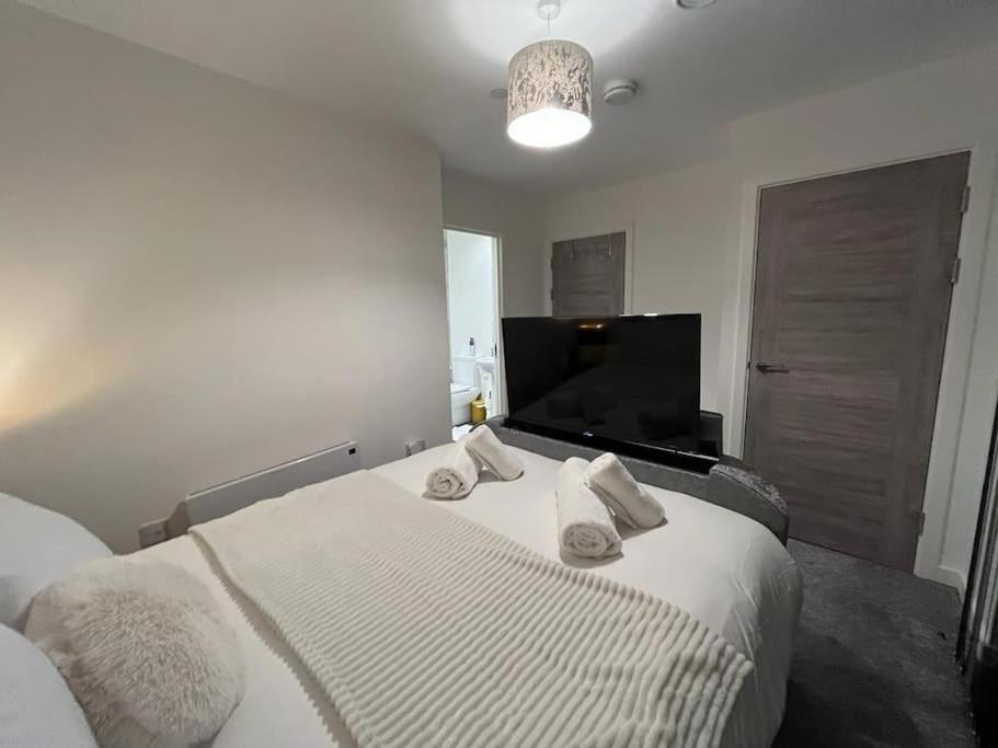 Bayard Luxe 2 Bedroom Penthouse Duplex