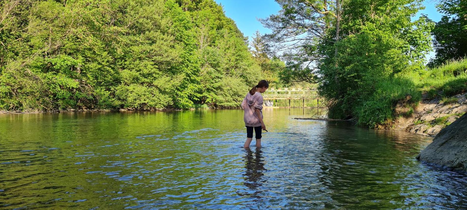 Mühle in der Pferdewelt Reichenau