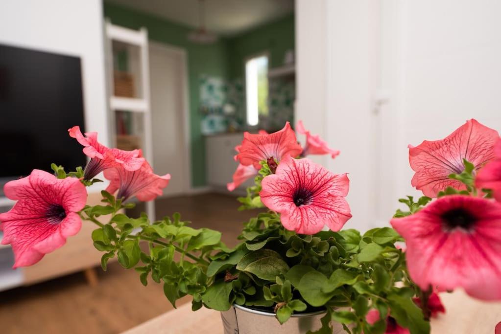 4 Mares Apartamentos A