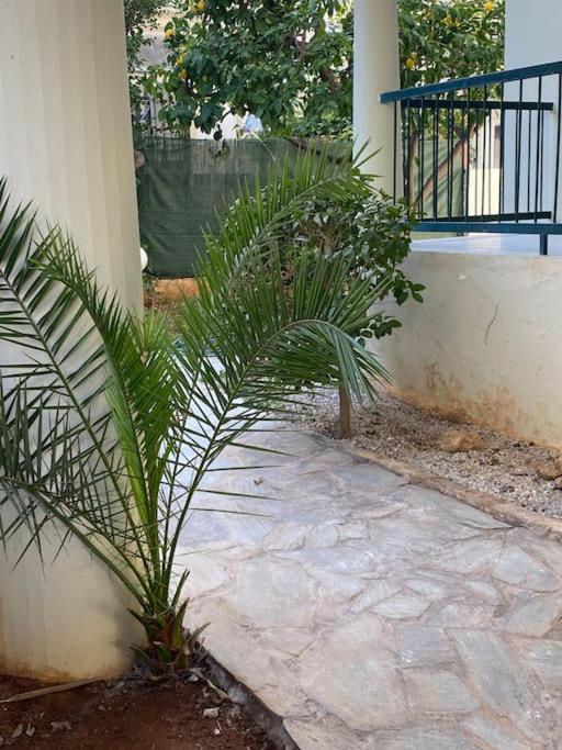 Feels like home (Vari)