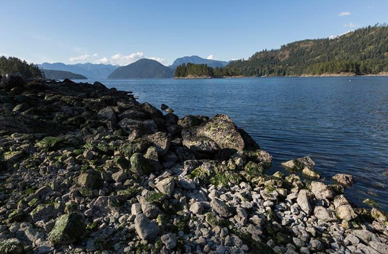 Backeddy Resort and Marina