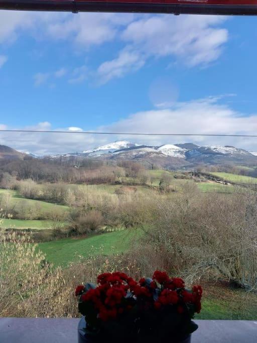 Apartamentos en Baztan HIRU KABI, BIGA