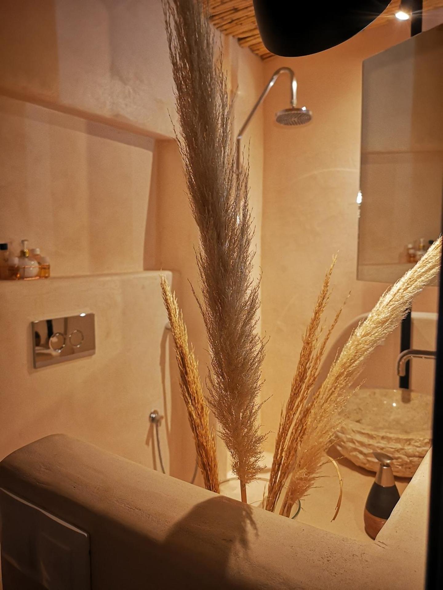 Gratelia Studio Damnoni