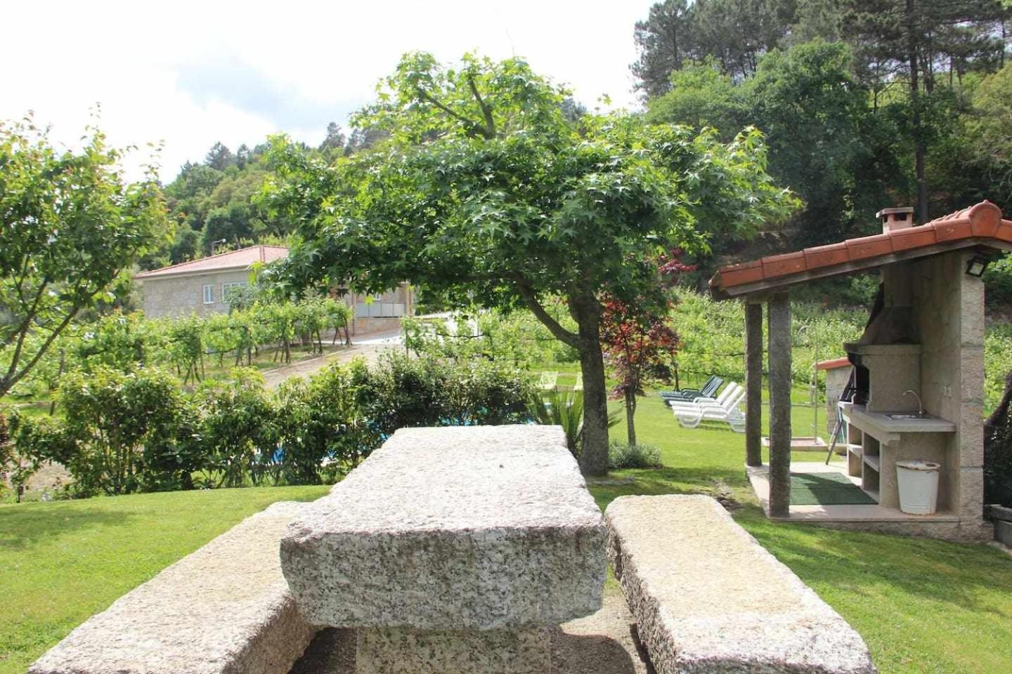 Casa da Boavista Camélias de Basto-Turismo Rural
