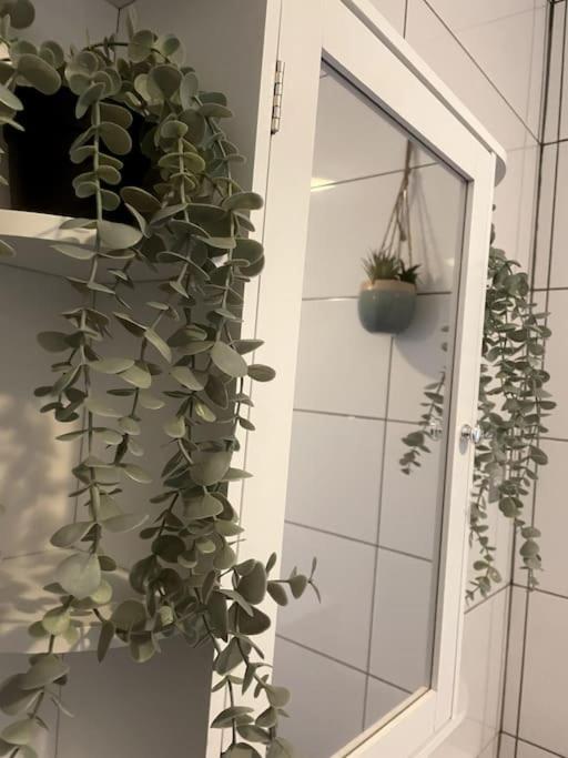 Sun Street Cottage - with log burner, jet bath and Summerhouse