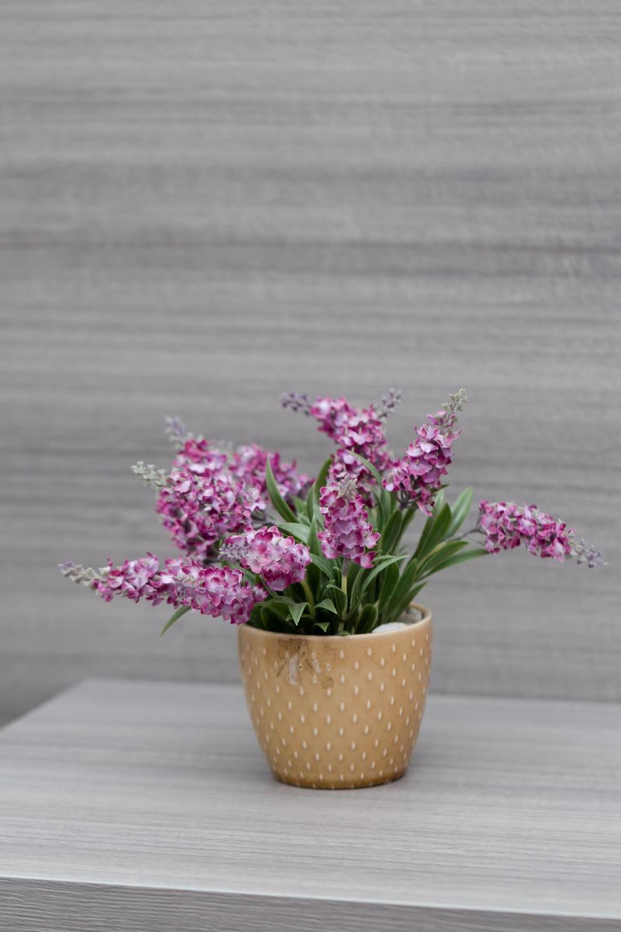 Affittacamere Alessia