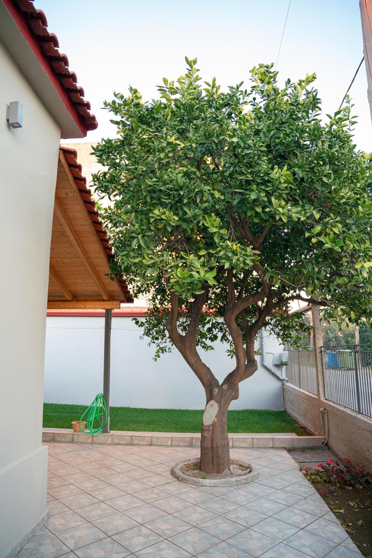 Όμορφη μονοκατοικία με 2 υπνοδωμάτια και τζάκι