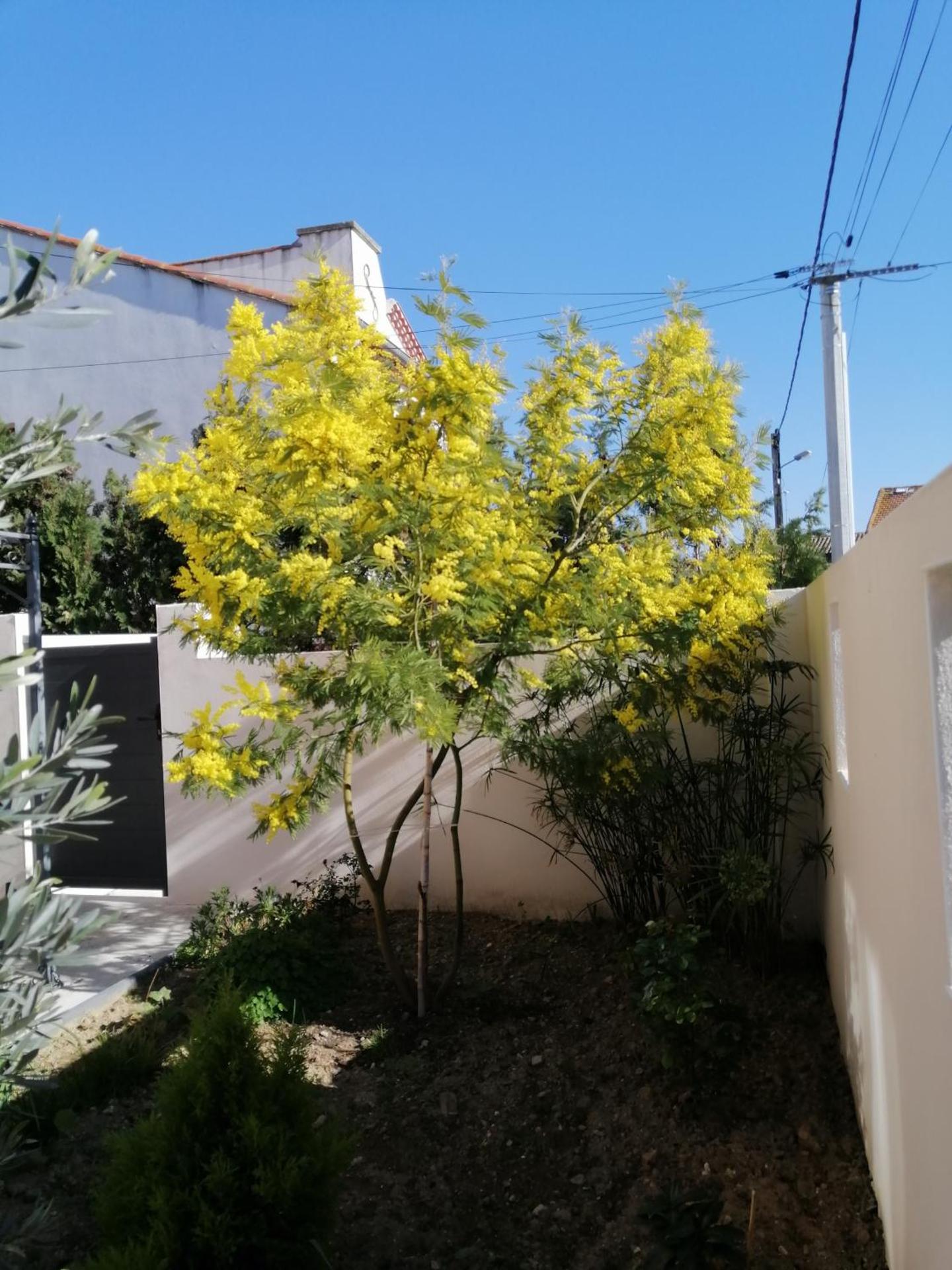 La maison de 6Fran appartement 2 chaleureux et calme ambiance familiale