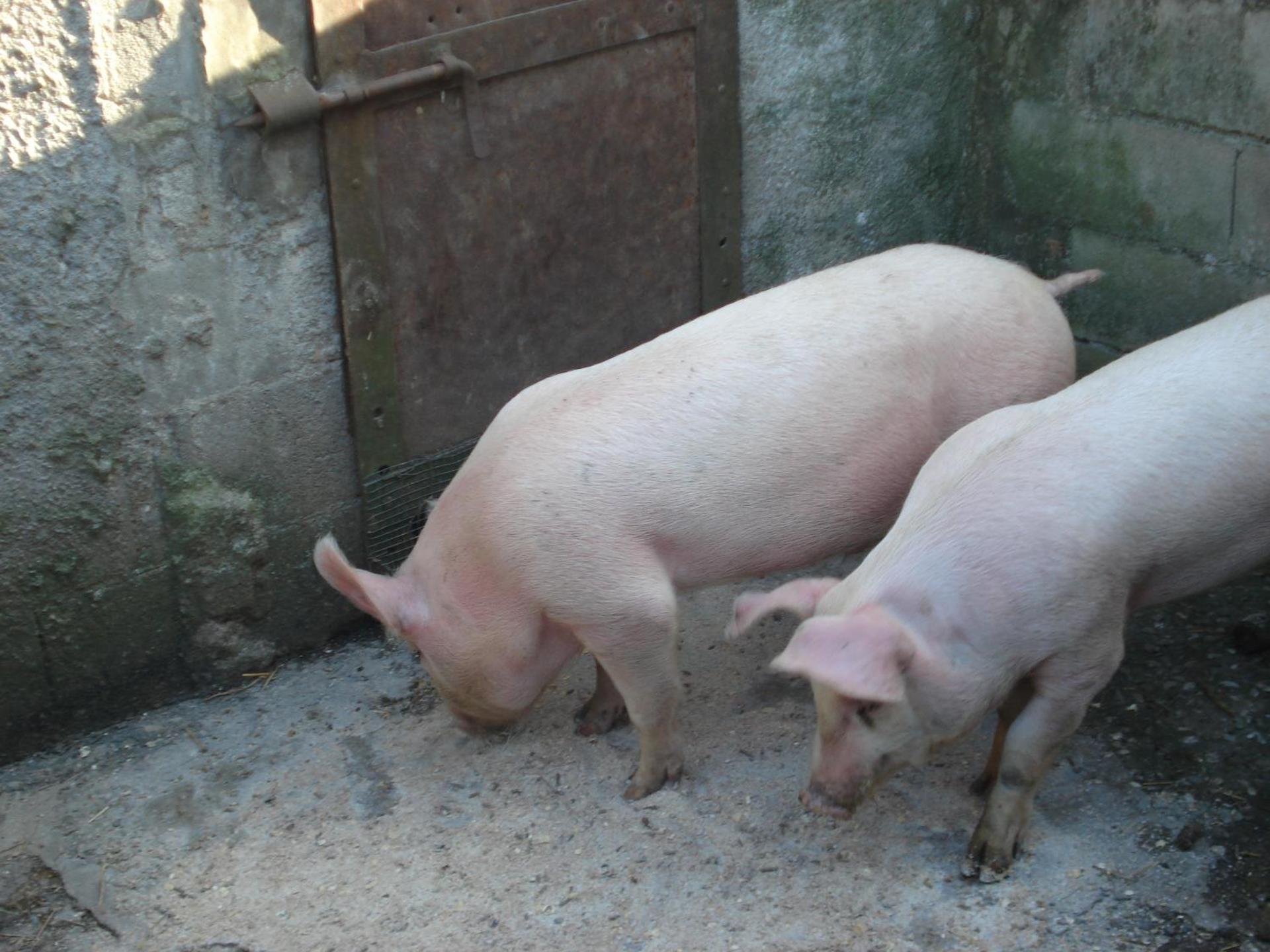 Children play ground