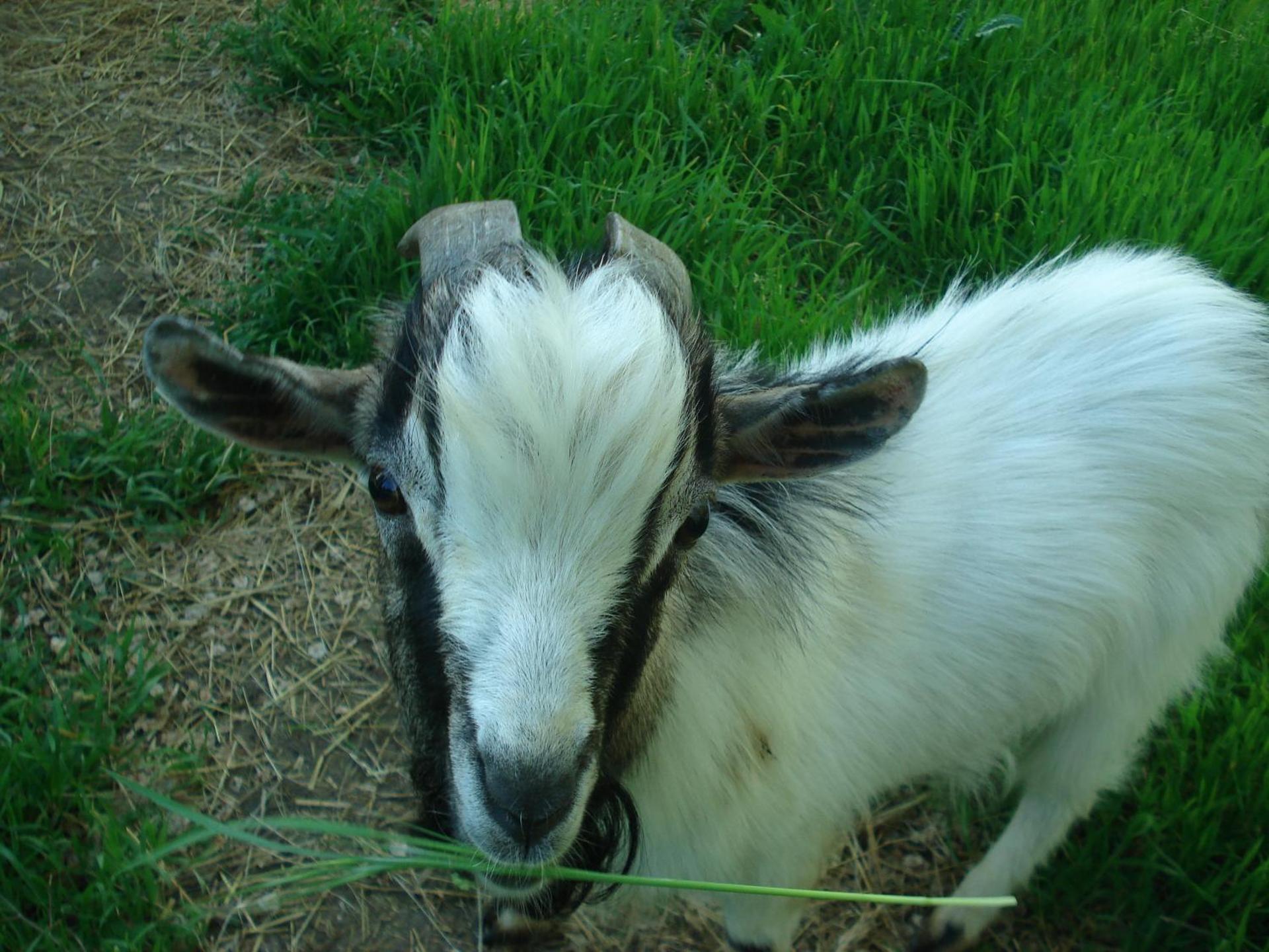 Children play ground