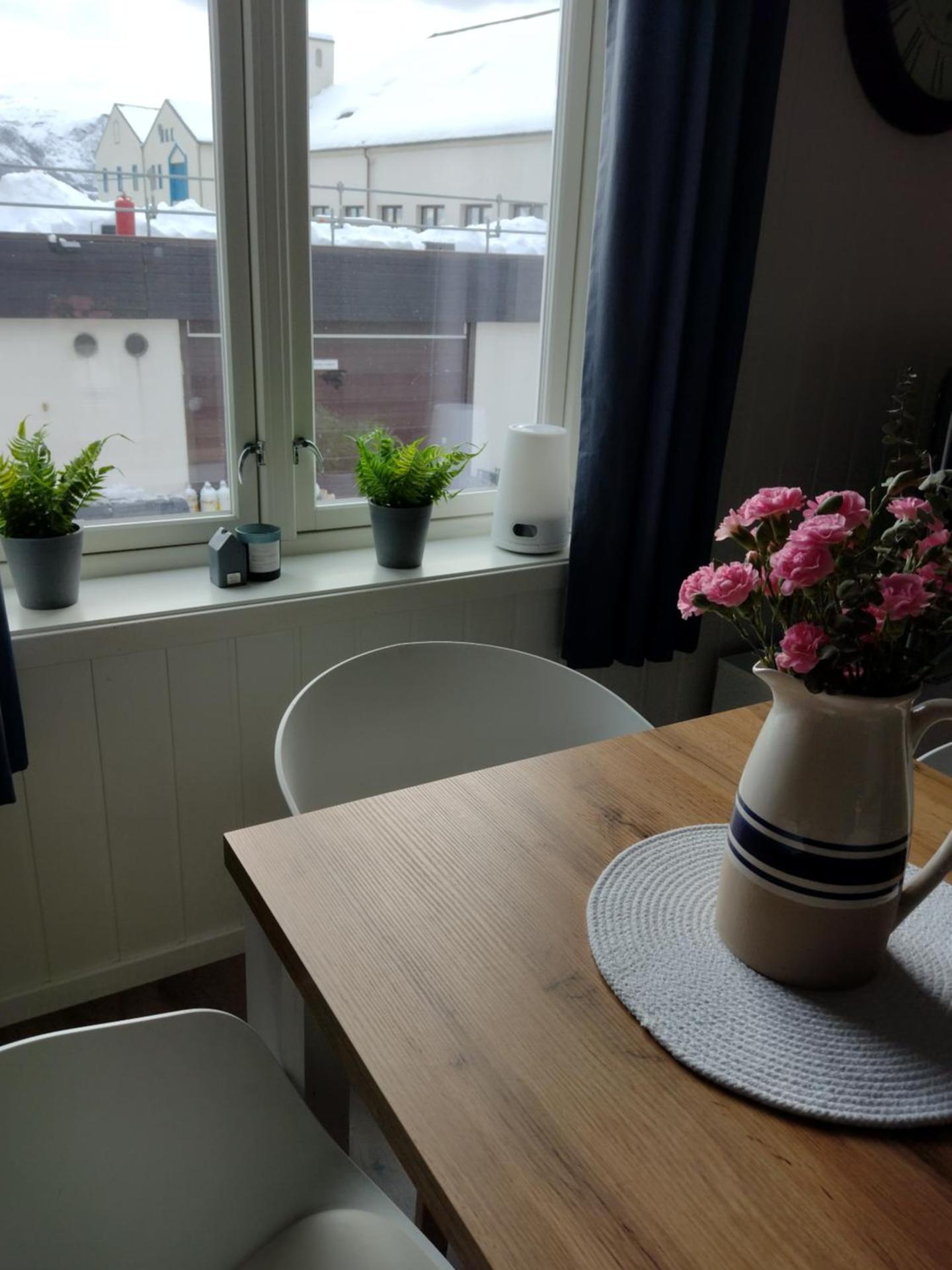 Light home apartment Alesund with free parking